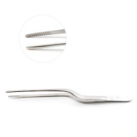 Ear Forceps